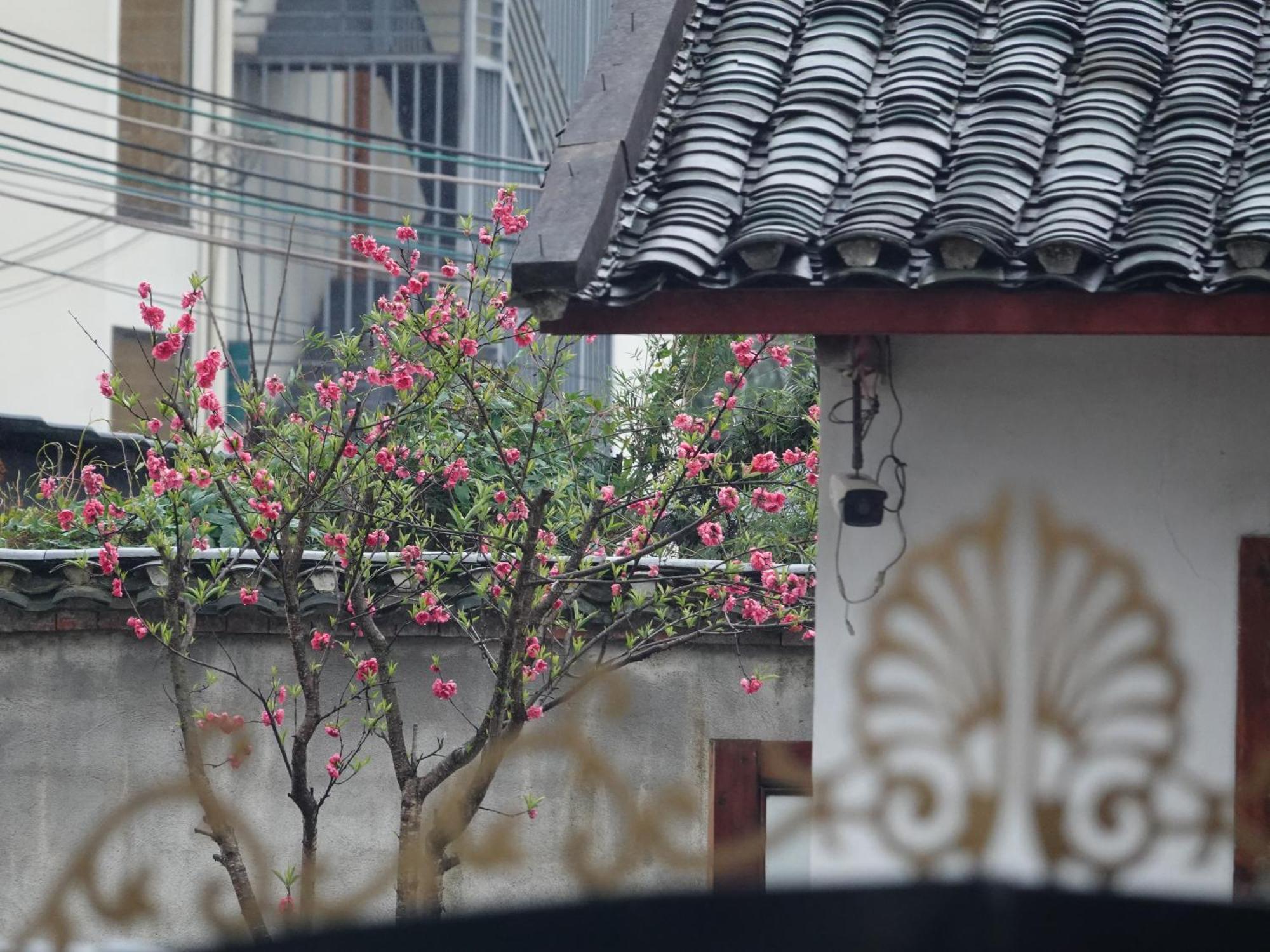 Yangshuo Xiao Long River Hotel Exterior photo